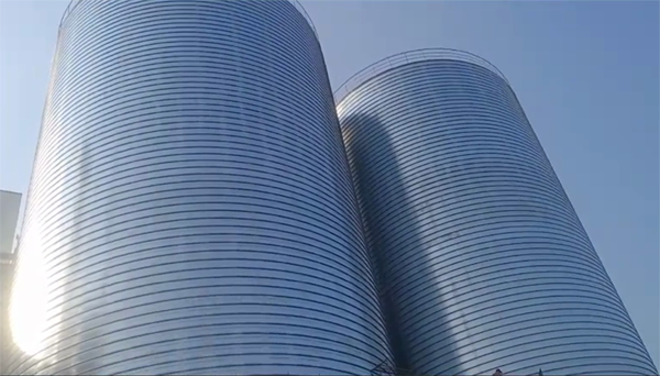 桥头镇2座混凝土高架卷板仓